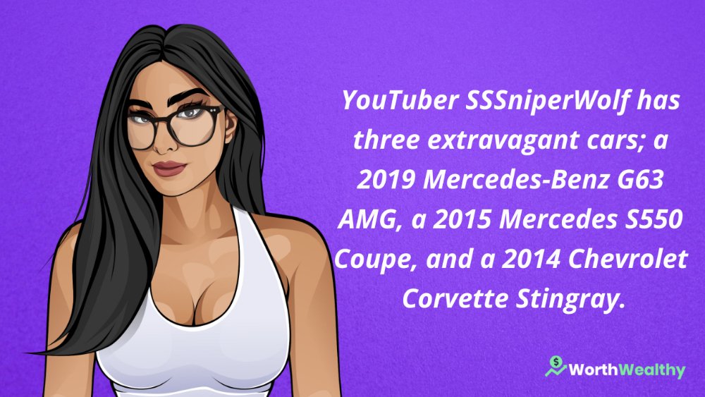 SSSniperWolf's Expensive Cars